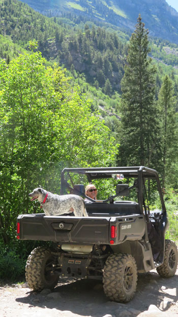 Donna Milner driving a UTV somewhere in the Colorado Mountains.